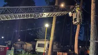 Strażacy umieścili ptaka w gnieździe