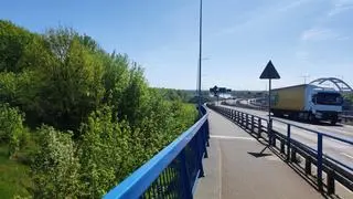 Toruń. Wieżowiec ma powstać na obszarze chronionym Natura 2000