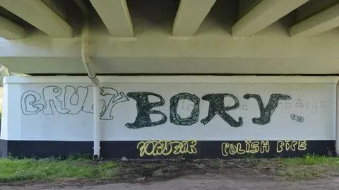 Wandale zostali zatrzymani na gorącym uczynku 