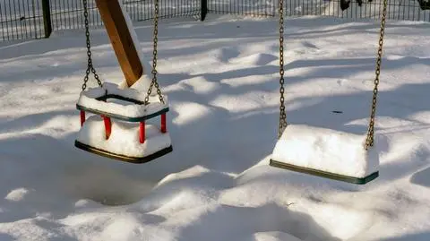 shutterstock_2723212197_1