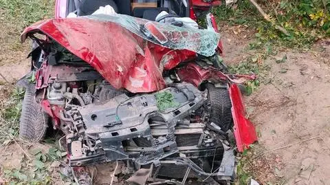 Zjechała z drogi i uderzyła w drzewo