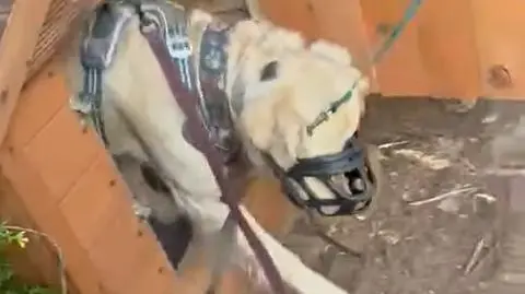 W takich warunkach trzymany był Coffie