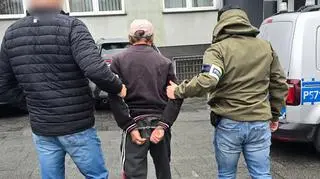 Mężczyzna przyznał się do zarzutów