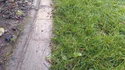 Zabrał 20 sztuk kostki