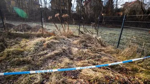 Jelenia Góra, zabójstwo 11-latki