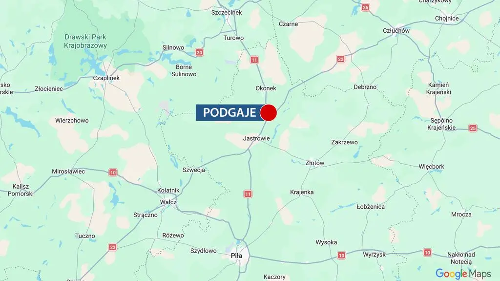 Podgaje