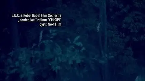 0601N067X PARA WITENBERG