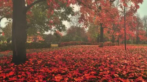 Długi weekend rozpocznie się mgliście i pochmurnie 