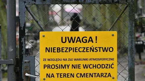 Zamknięte cmentarze w Gdańsku, Park Oliwski i zoo