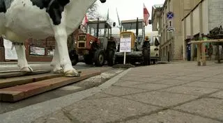 Rolnicy protestują w Szczecinie