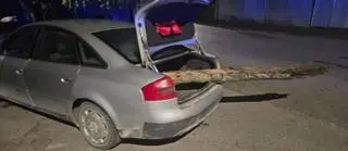 Mężczyzna przewoził swoim audi drzewo