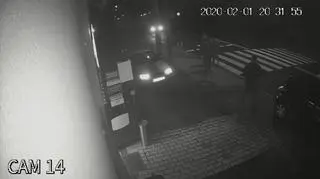 Pies zginął potrącony na pasach