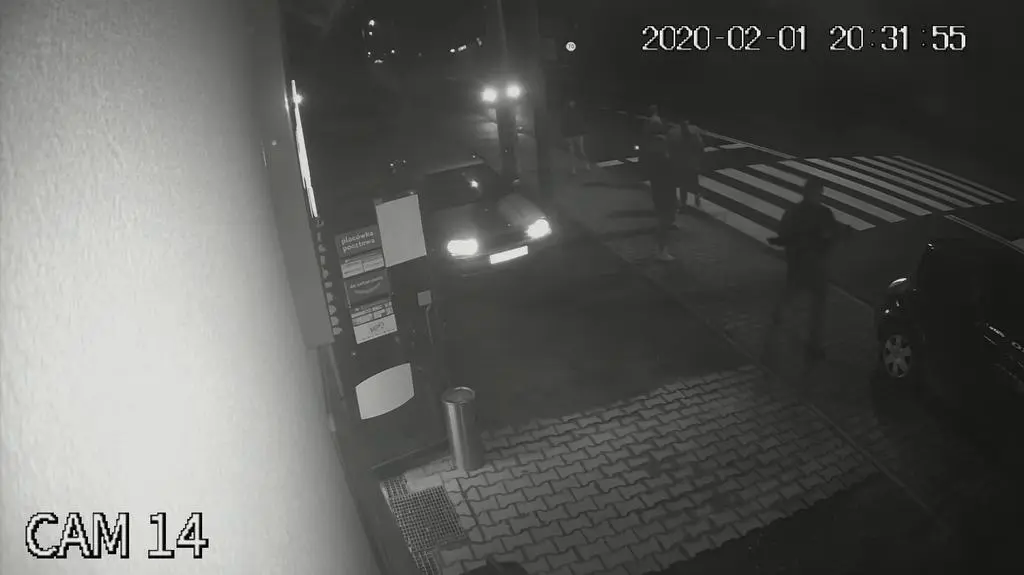 Pies zginął potrącony na pasach