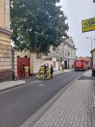 Ewakuowano jedną osobę 