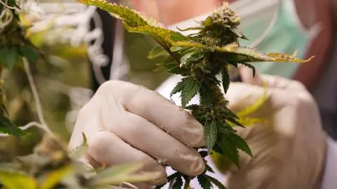 shutterstock_2632698777