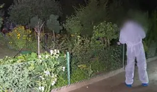 Zabójstwo na działkach