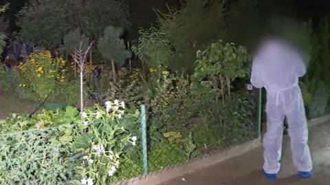 Zabójstwo na działkach