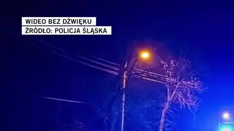 policja śląska