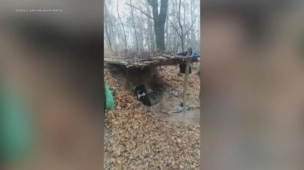 Klatka kluczowa-235577