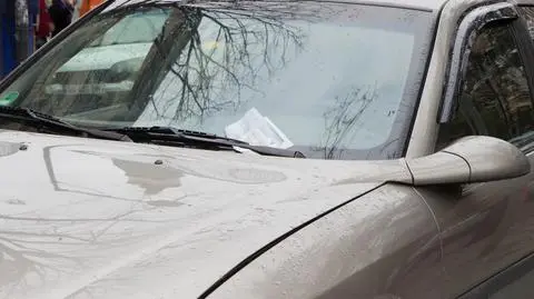 shutterstock_785511448_1