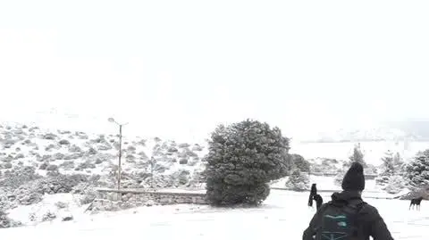 grecja