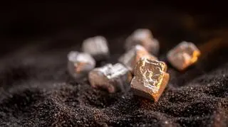 Długo nie wiedzieliśmy, że istnieją. Teraz decydują o naszej przyszłości