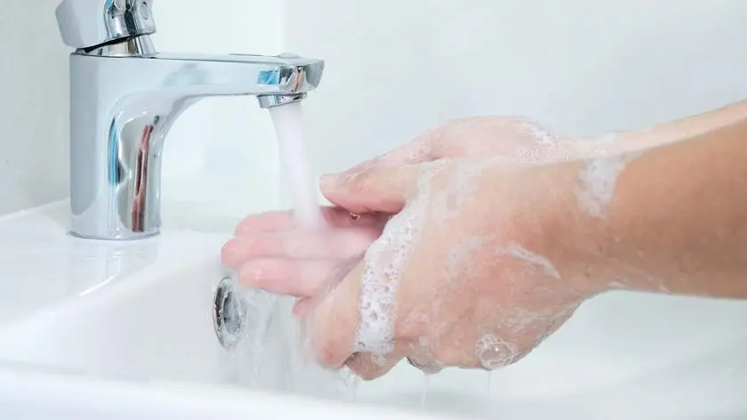 Problem z tym wirusem mają już nasi sąsiedzi. Jak jest u nas?