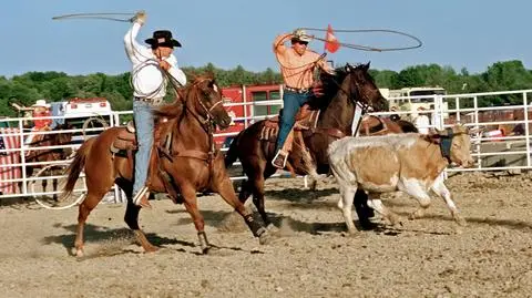 Nie będzie zapowiadanego rodeo w Gliwicach (zdjęcie ilustracyjne)