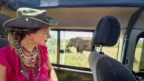 Tanzania, Safari