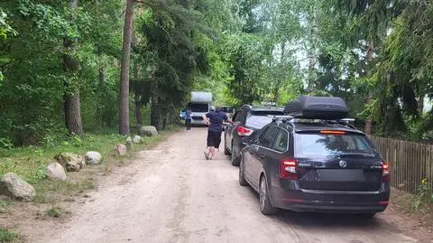 Na leśnej drodze zrobiło się tłoczno 