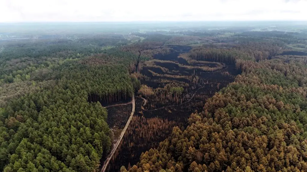 Spłonęło kilkaset hektarów lasu