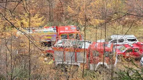 W działaniach uczestniczyli strażacy 