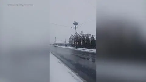 Klatka kluczowa-324913