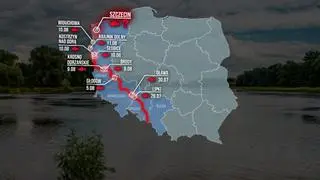 Śnięte ryby w Odrze