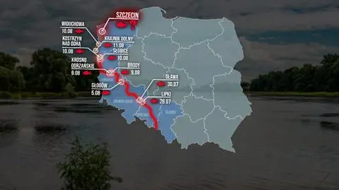 Śnięte ryby w Odrze