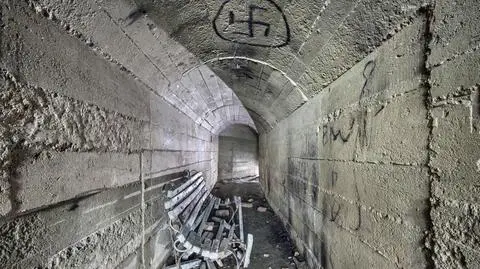 Przycinali drzewa i nagle zapadła się ziemia. Wtedy zobaczyli betonowy korytarz