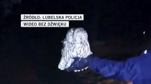 Lubelska Policja 