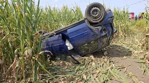 Pijany kierowca swoją podróż zakończył w polu kukurydzy