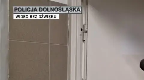 policja