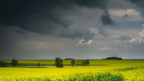 Uważnie śledźcie prognozy. Pogoda w weekend nie zapowiada się spokojnie