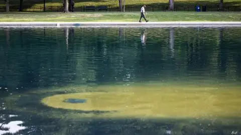 reflecting pool