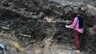 MANASTERZEC PRACE ARCHEOLOGICZNE W ZAMKU KMITÓW