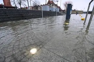 Przekroczenie stanu alarmowego na rzece Elbląg w Elblągu