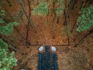 Las pamięci na Cmentarzu Junikowskim