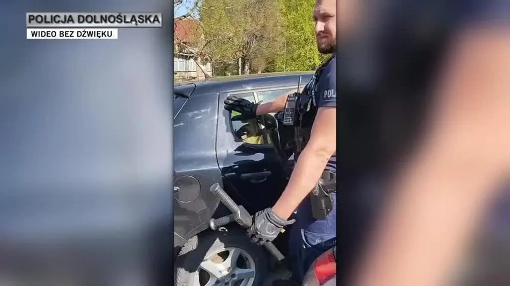 policja