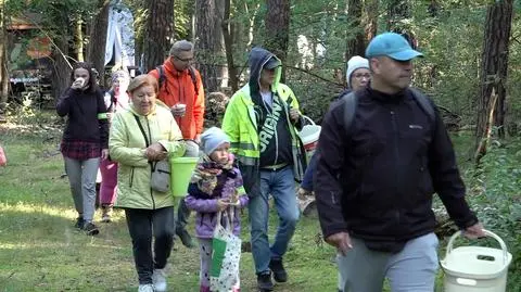 W Puszczy Goleniowskiej po raz 25. odbyły się zawody w grzybobraniu