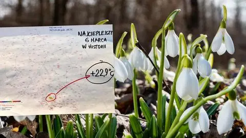 Pogoda wyprzedziła kalendarz. Takiego 6 marca nie było w historii