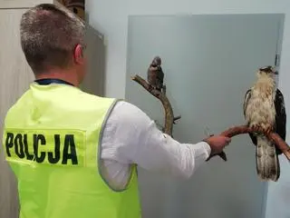 45-latkowi z Lubaczowa może grozić do pięciu lat więzienia
