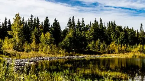 shutterstock_1759450961