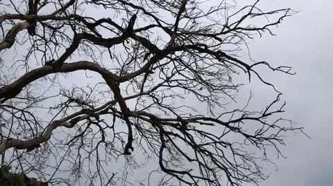 Czekają nas mroźne noce